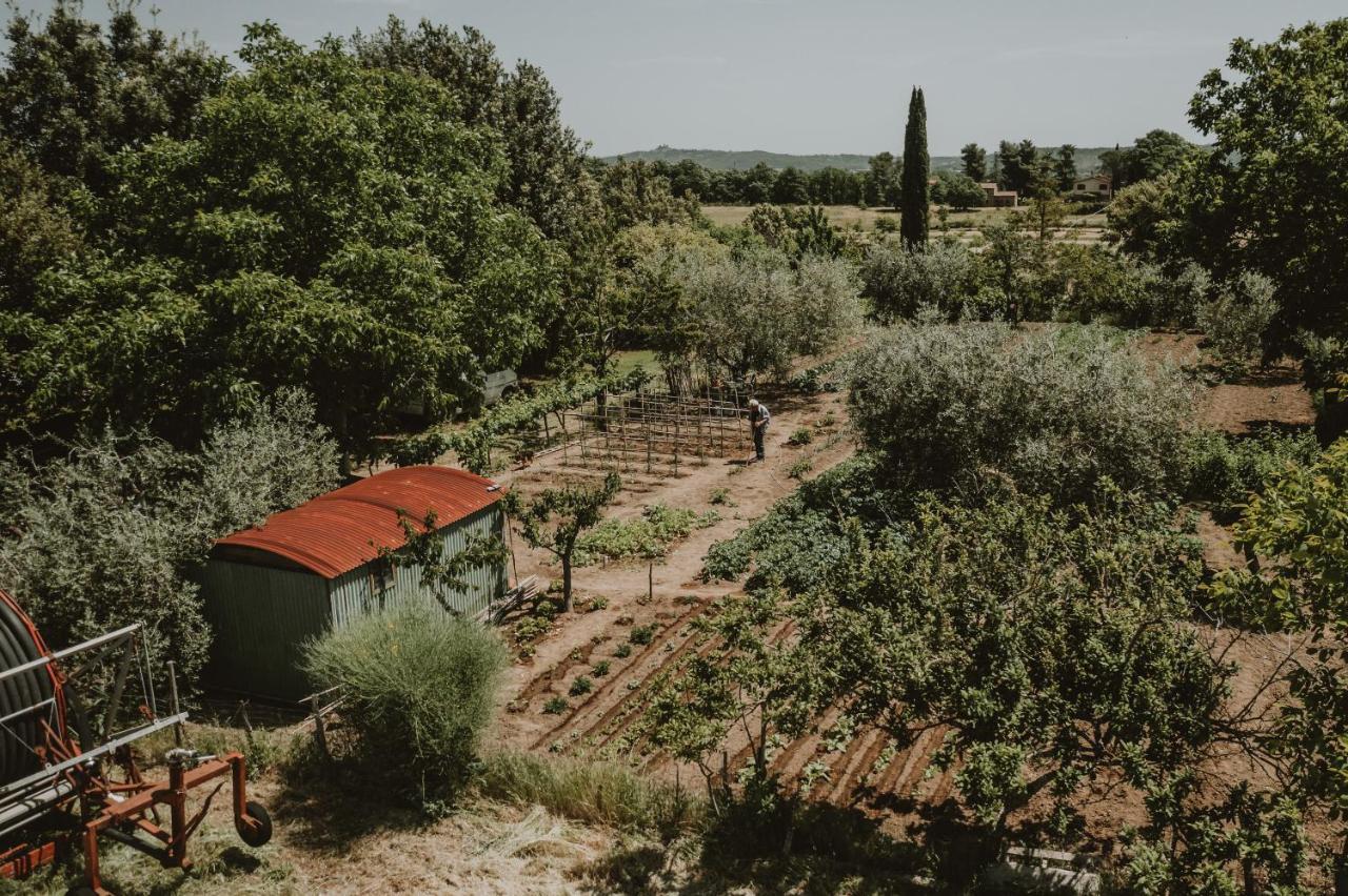 Agriturismo Cerqueto Acquapendente Exterior photo